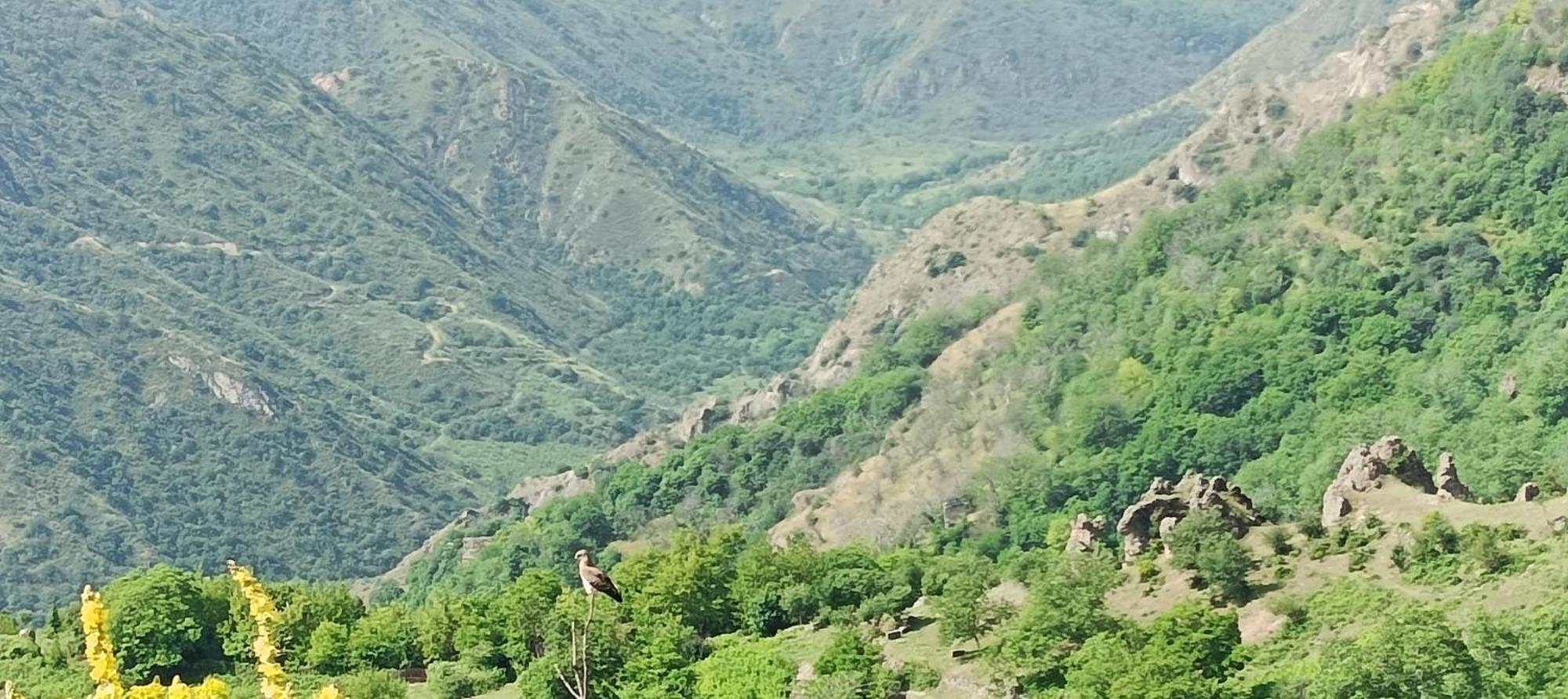 Kirch Hotel & Restaurant Goris Luaran gambar